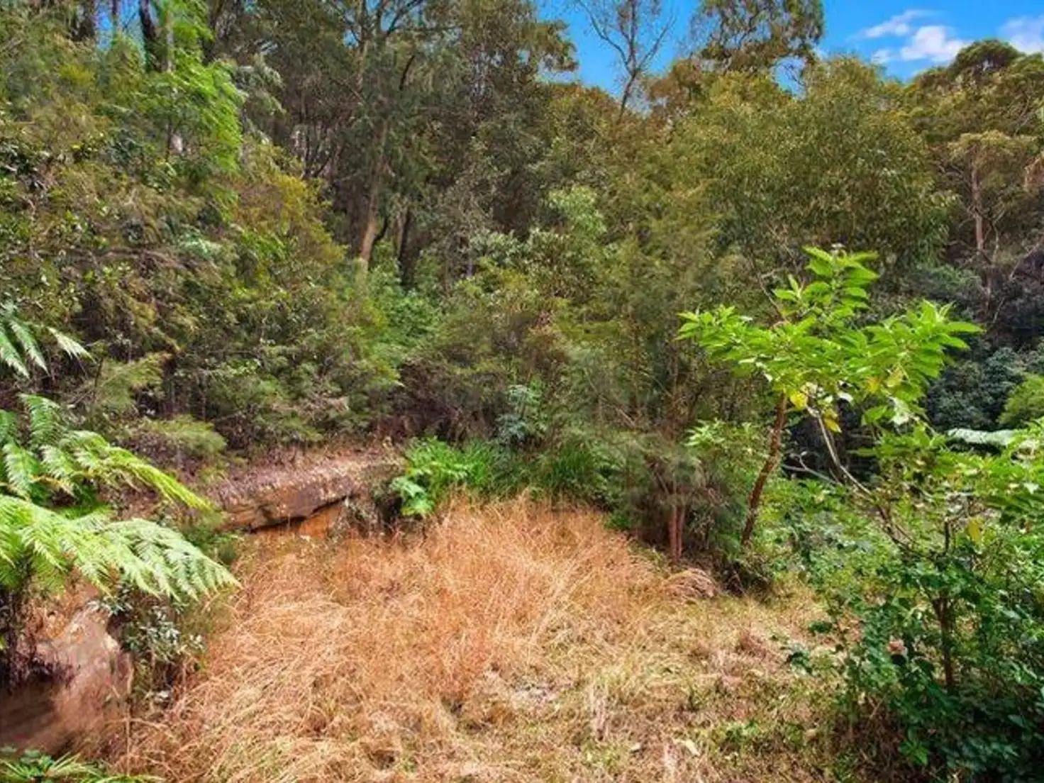 Main view of Homely land listing, 199 Phegans Bay Road, Phegans Bay NSW 2256