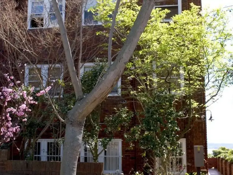 Sixth view of Homely apartment listing, 4/2 Birriga Road, Bellevue Hill NSW 2023