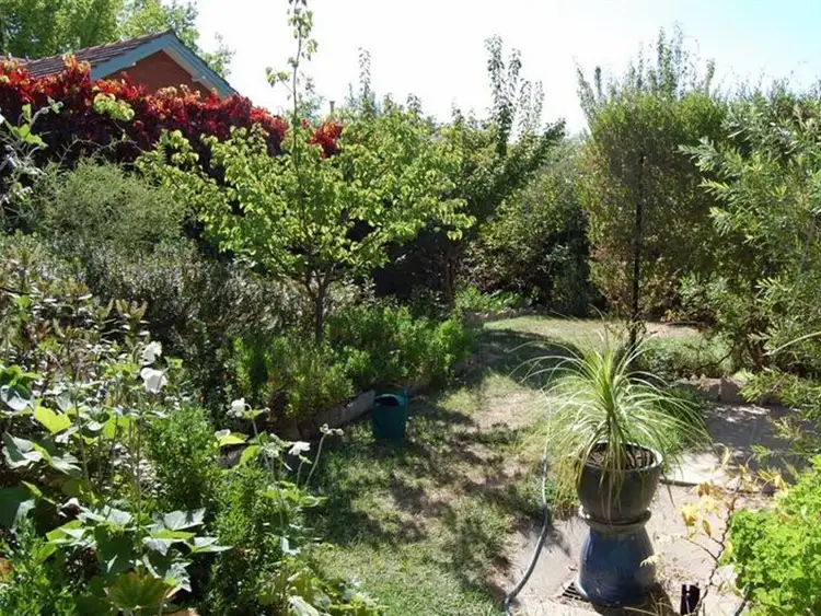 Main view of Homely house listing, 105A Scrivener Street, O'connor ACT 2602