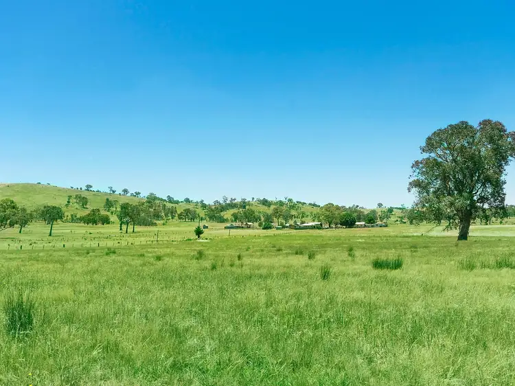 129 McKeahnie Lane, Sutton NSW 2620