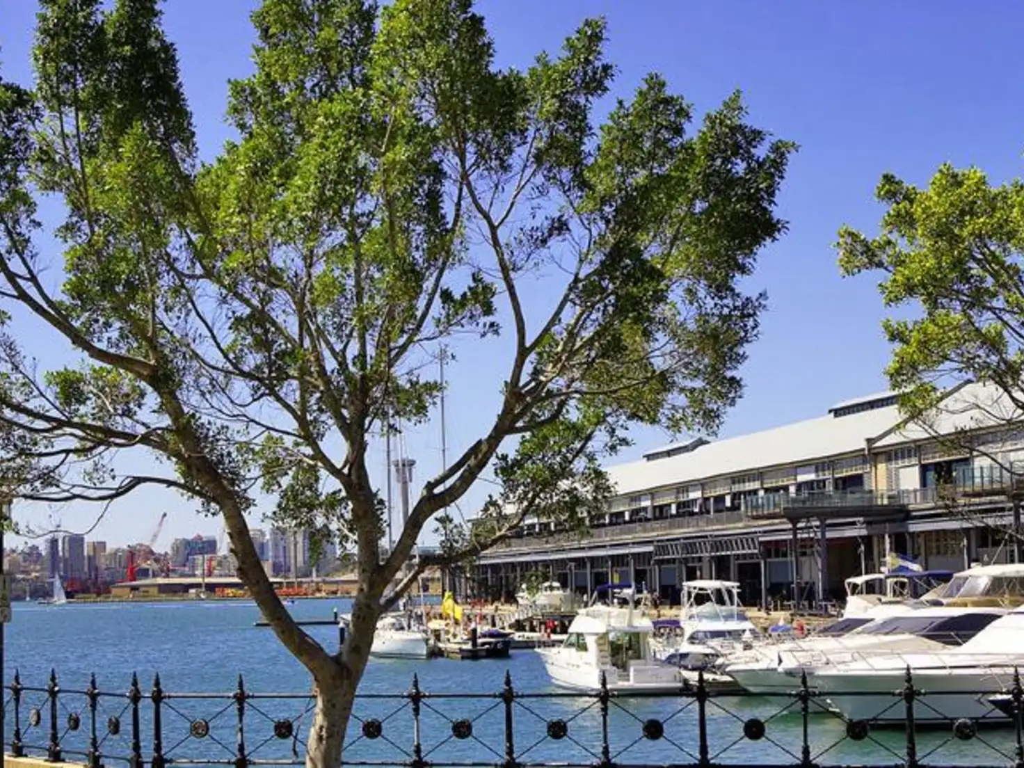 Main view of Homely apartment listing, 101/15 Pirrama Road, Pyrmont NSW 2009