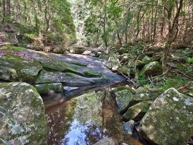 Fourth view of Homely rural property listing, 620 The Gap Road, Woodburn NSW 2472