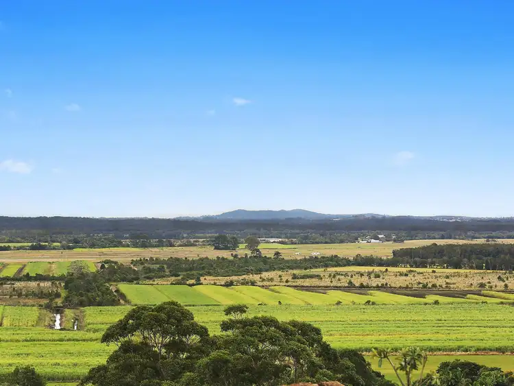Main view of Homely house listing, 54 Willis Road, Bli Bli QLD 4560