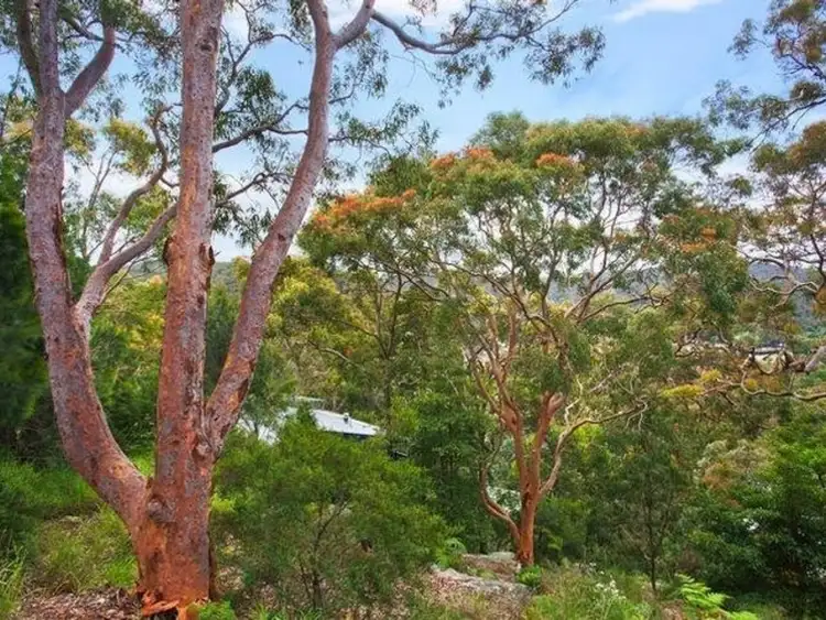 Main view of Homely land listing, 3 Mountain Ash Way, Umina Beach NSW 2257