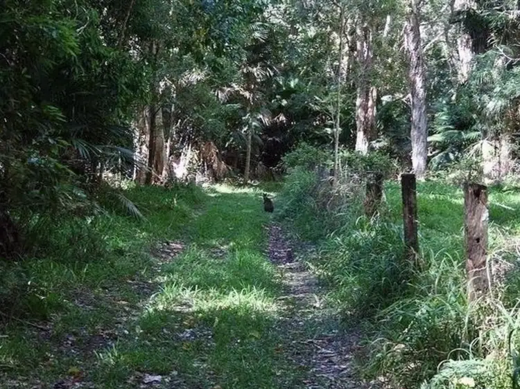 Second view of Homely rural property listing, 245A Evans Head Road, Woodburn NSW 2472