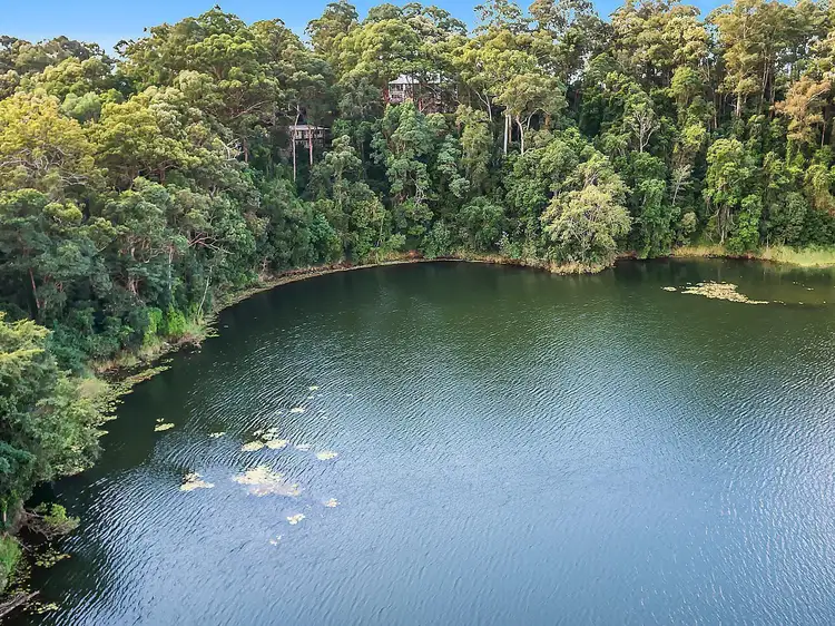 14 Georgina Street, Oxenford QLD 4210