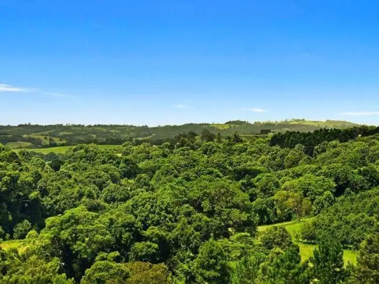 Fifth view of Homely rural property listing, 738 Cowlong Road, Mcleans Ridges NSW 2480