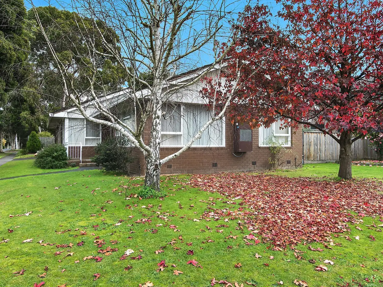 Main view of Homely house listing, 59 Jubilee Street, Mount Waverley VIC 3149