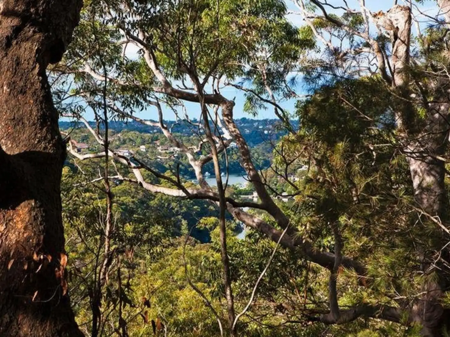 Main view of Homely land listing, 58 Greenhaven Road, Grays Point NSW 2232