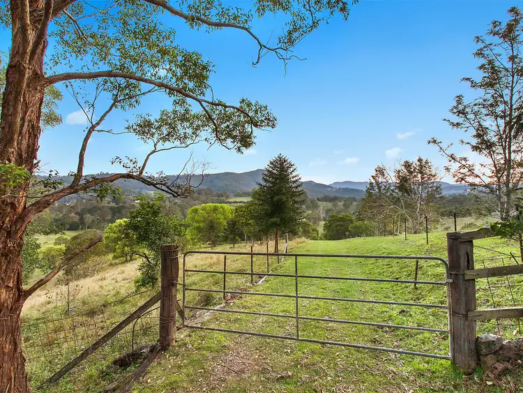 Third view of Homely house listing, 28 Veronica Drive, Tallai QLD 4213