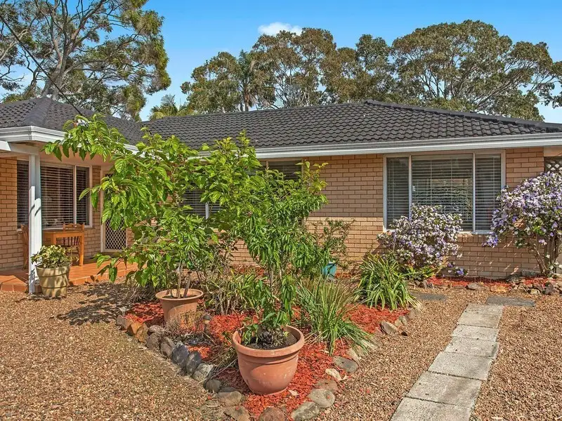 Main view of Homely house listing, 49 Camellia Circle, Woy Woy NSW 2256