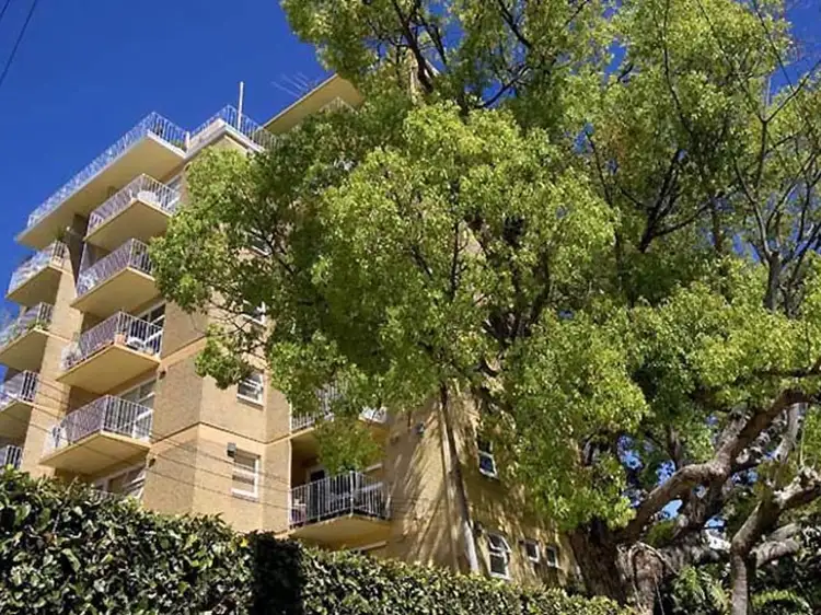 Second view of Homely studio listing, 23/21 Duxford Street, Paddington NSW 2021