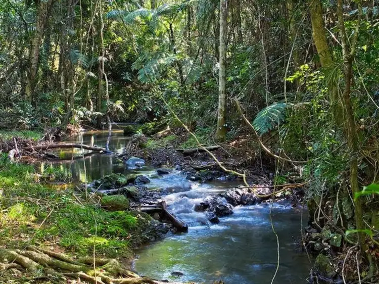 Lot 26 Dillons Lane, Alstonville NSW 2477