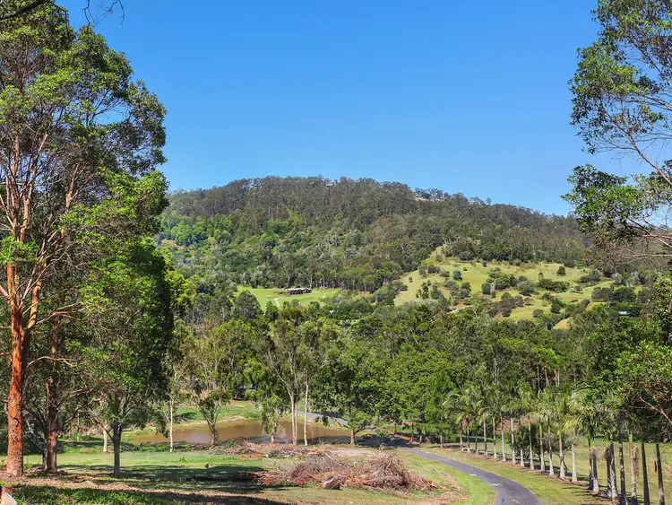 Third view of Homely house listing, 897 Tamborine-Oxenford Road, Wongawallan QLD 4210