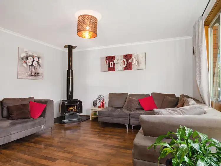 34 Turnbull Crescent, Avondale NSW 2530
