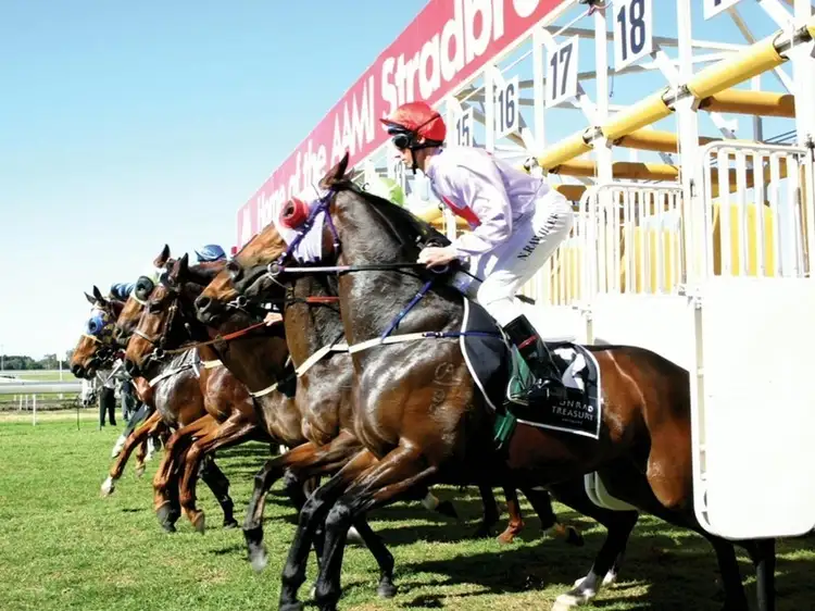 20 Mein Street, Hendra QLD 4011