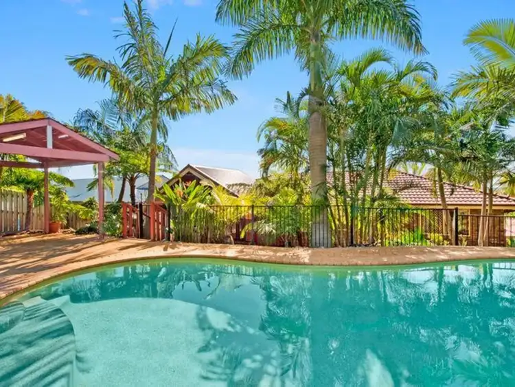 14 Satinash Terrace, Banora Point NSW 2486