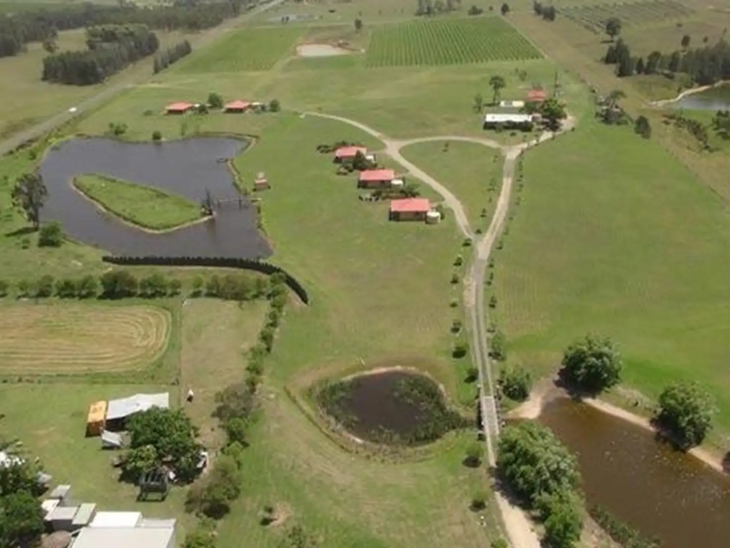 Main view of Homely house listing, 547 Old North Road, Rothbury NSW 2320