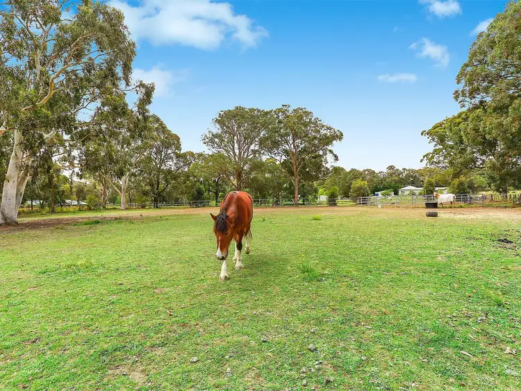 Sixth view of Homely house listing, 120 Arina Road, Bargo NSW 2574