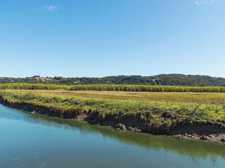 Third view of Homely rural property listing, Lot 10 Pimlico Road, Pimlico NSW 2478