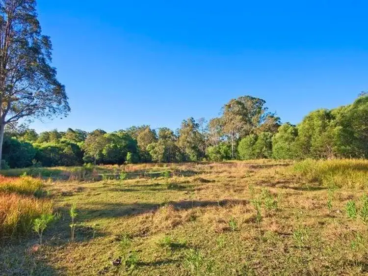 Fourth view of Homely rural property listing, 560 Moonem Road, New Italy NSW 2472