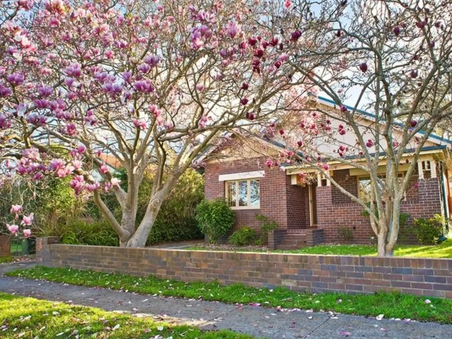 Main view of Homely house listing, 24 Citrus Avenue, Hornsby NSW 2077