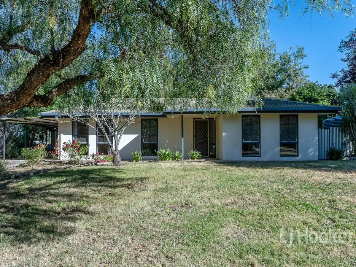 Main view of Homely house listing, 20 Fry Street, Mount Barker SA 5251