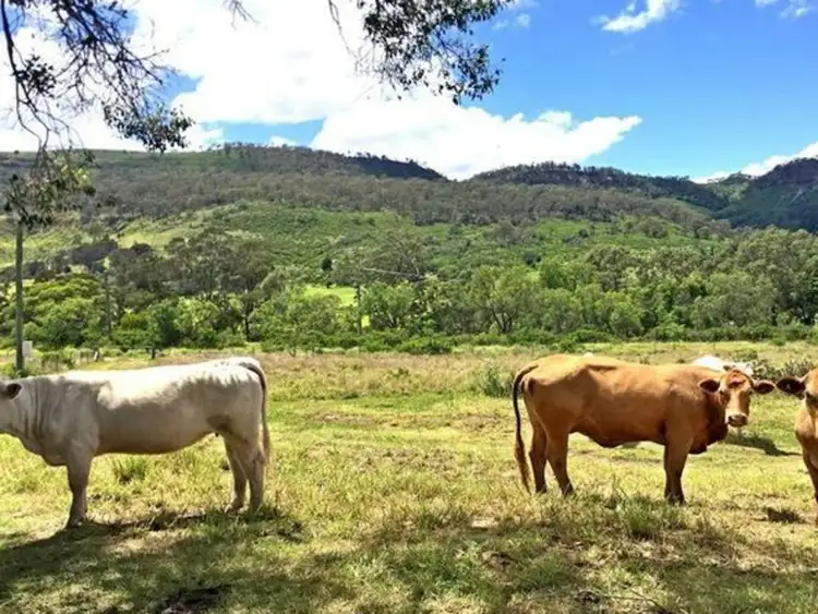 Second view of Homely rural property listing, 1904 Gatton Clifton Road, Fordsdale QLD 4343