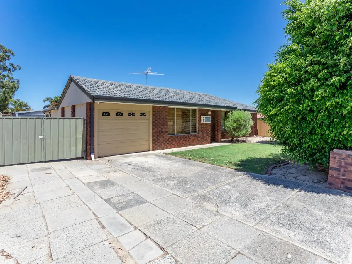 Main view of Homely house listing, 147 Alcock Street, Maddington WA 6109