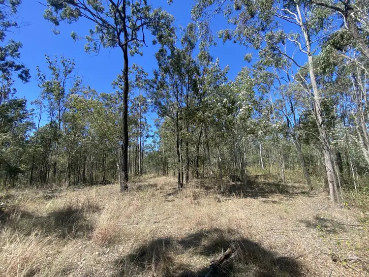 Fourth view of Homely rural property listing, Lot 39 Tillack Road, Gatton QLD 4343