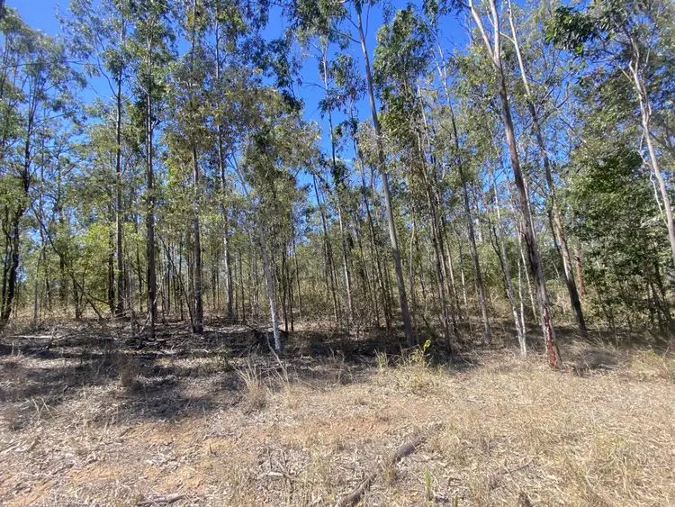 Seventh view of Homely rural property listing, Lot 39 Tillack Road, Gatton QLD 4343