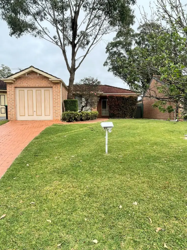 53 Candlebark circuit