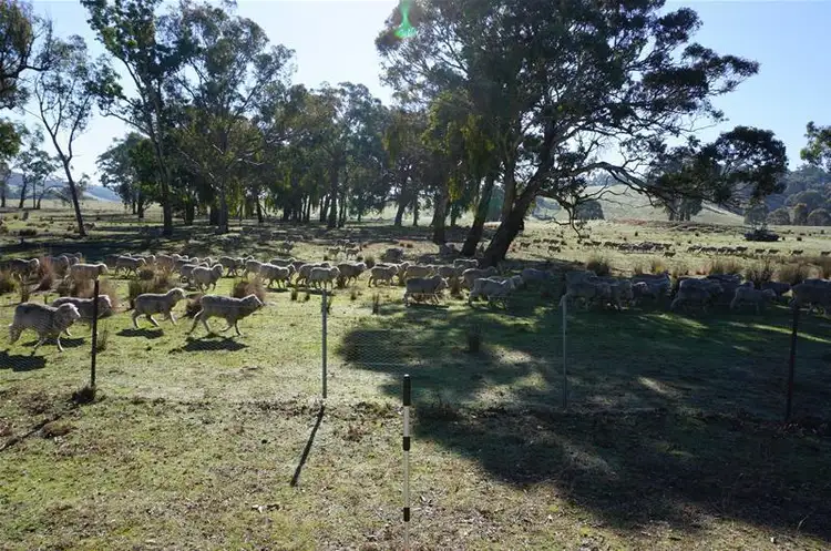 Second view of Homely land listing, 520 Blakney Creek Road, Blakney Creek NSW 2581