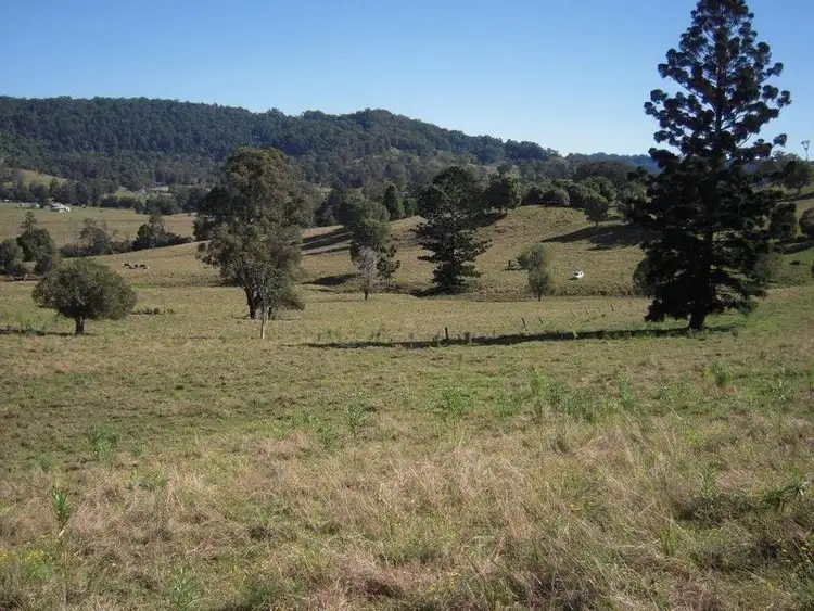 700 Jiggi Road, Jiggi NSW 2480