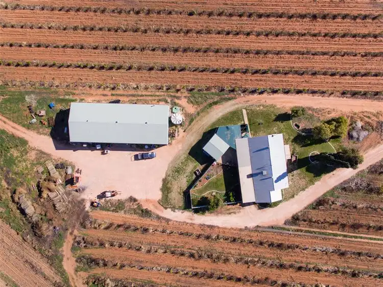 Sixth view of Homely house listing, 353 Twentieth Street, Cardross VIC 3496