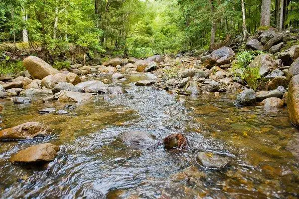 Second view of Homely rural property listing, Address available on request