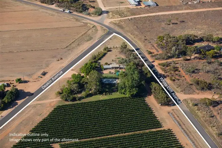 Fourth view of Homely rural property listing, 3561 Deakin Avenue, Mildura VIC 3500