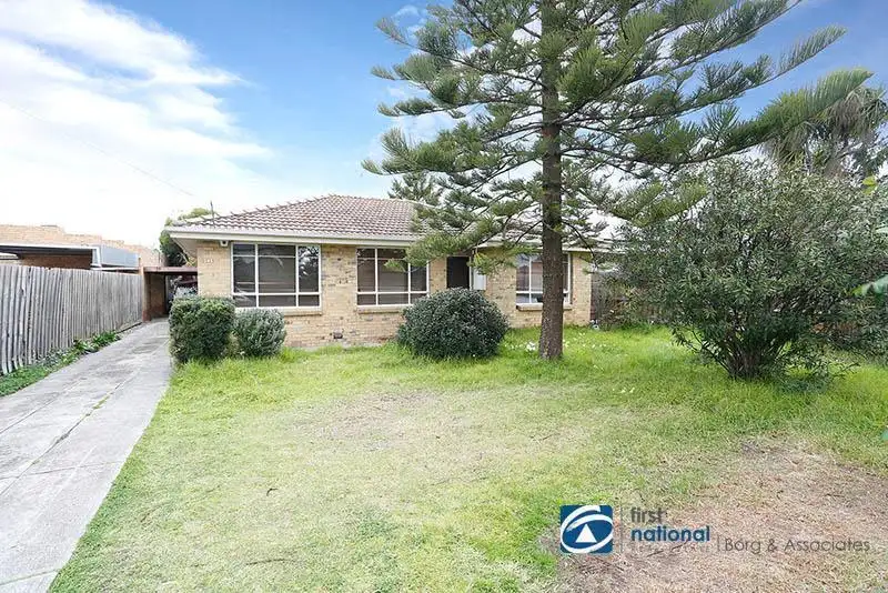 Main view of Homely house listing, 141 William Street, St Albans VIC 3021