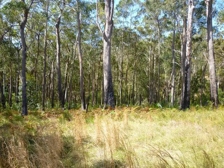 LOT 21 Innes Place, Long Beach NSW 2536