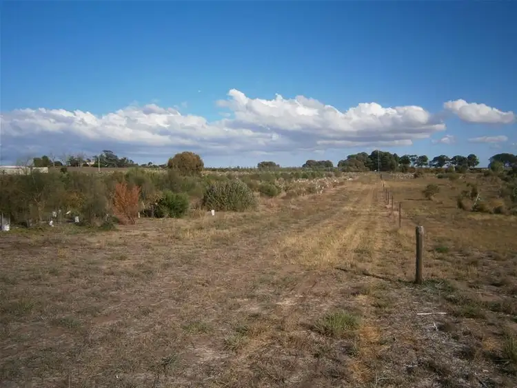 Sixth view of Homely land listing, Lot 6 Narrung Stud Road, Narrung SA 5259