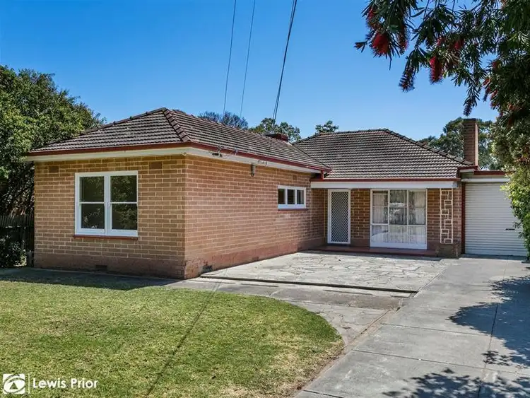 Main view of Homely house listing, 17 George Street, Marion SA 5043