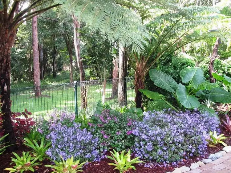 Fourth view of Homely house listing, 12 Timbertops Drive, Coffs Harbour NSW 2450