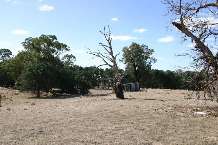 Main view of Homely rural property listing, 5 Section 5, Joel Joel Road, Crowlands VIC 3377