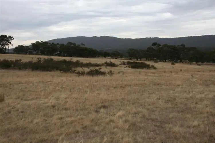Main view of Homely rural property listing, 142 Rifle Butts Road, Landsborough VIC 3384