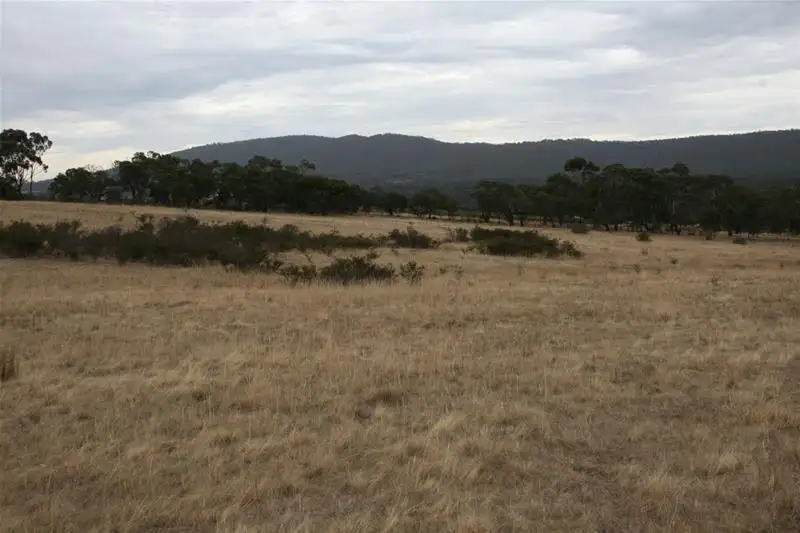 Main view of Homely rural property listing, 142 Rifle Butts Road, Landsborough VIC 3384