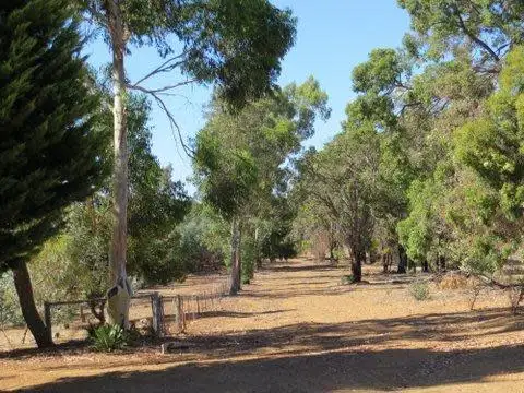 Fourth view of Homely house listing, 202 Clenton Road, Gidgegannup WA 6083