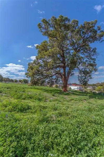 Sixth view of Homely house listing, 25 Cairn Crescent, Gingin WA 6503