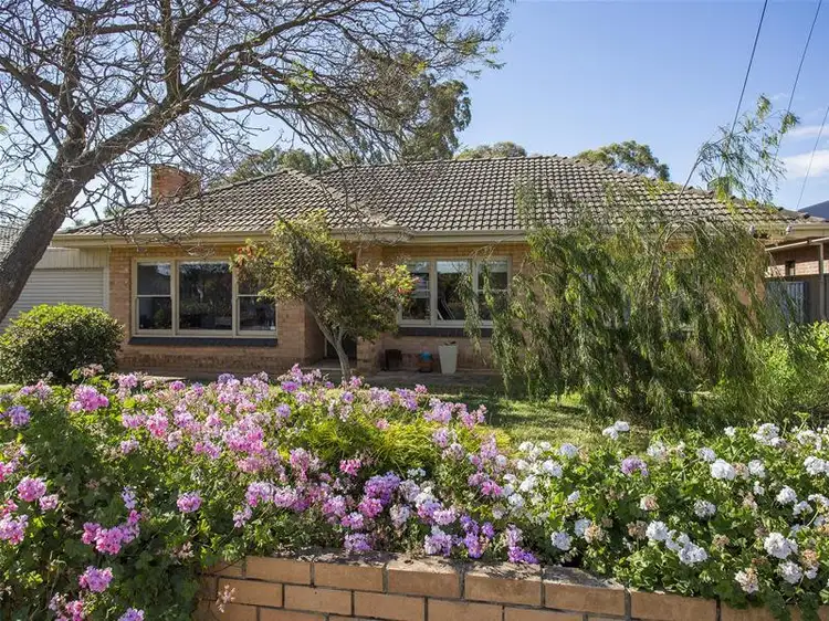 Main view of Homely house listing, 31 Railway Terrace, Warradale SA 5046