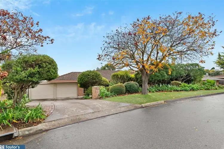 Main view of Homely house listing, 19 Celadon Court, Wynn Vale SA 5127
