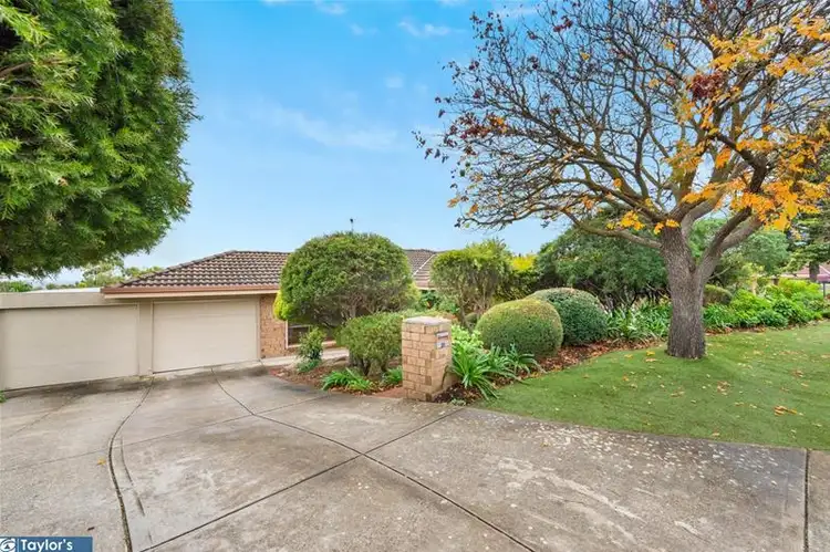 Second view of Homely house listing, 19 Celadon Court, Wynn Vale SA 5127